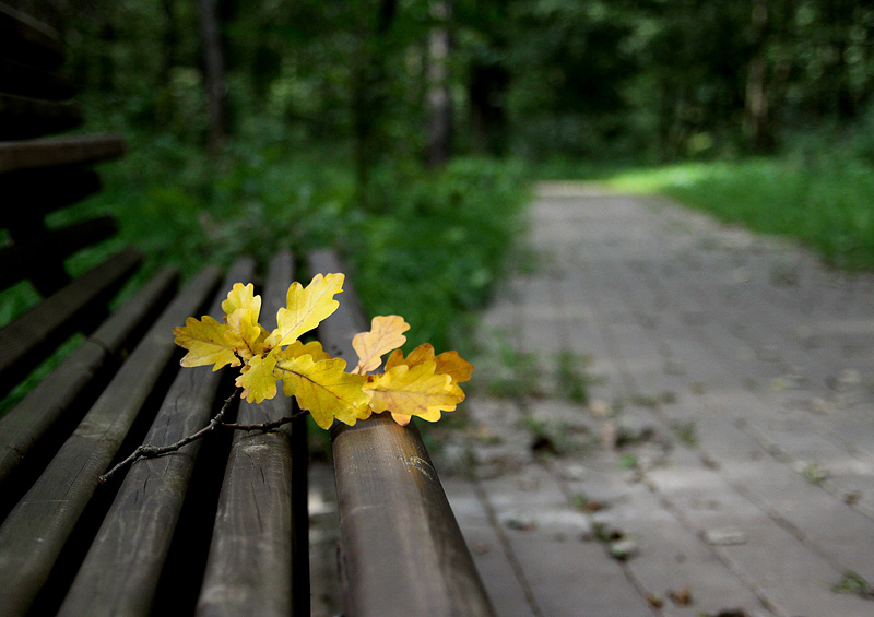 photo "***" tags: landscape, autumn