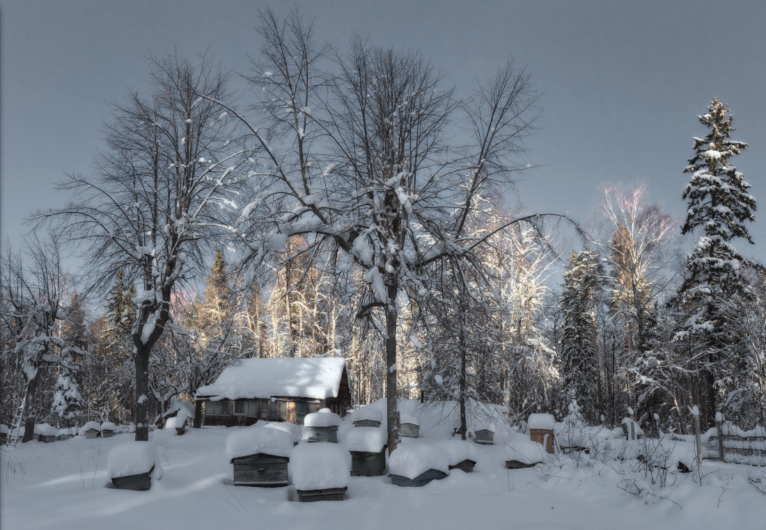 фото "Вечернее солнце" метки: пейзаж, панорама, зима