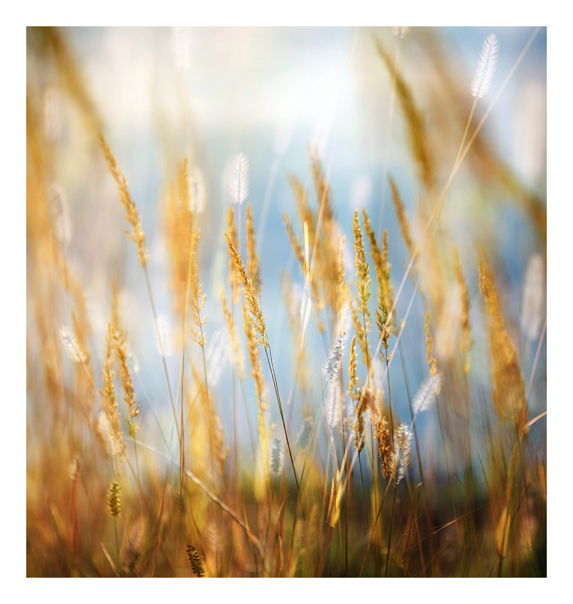 photo "***" tags: nature, landscape, autumn