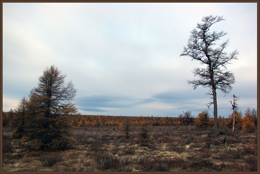 photo "***" tags: landscape, autumn, forest