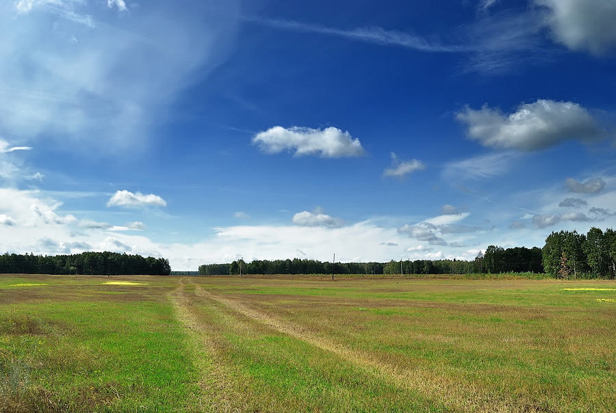 photo "***" tags: landscape, summer