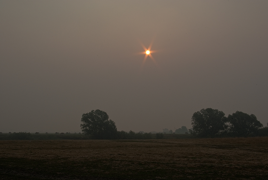 photo "The dim sun of August" tags: landscape, summer, sunset