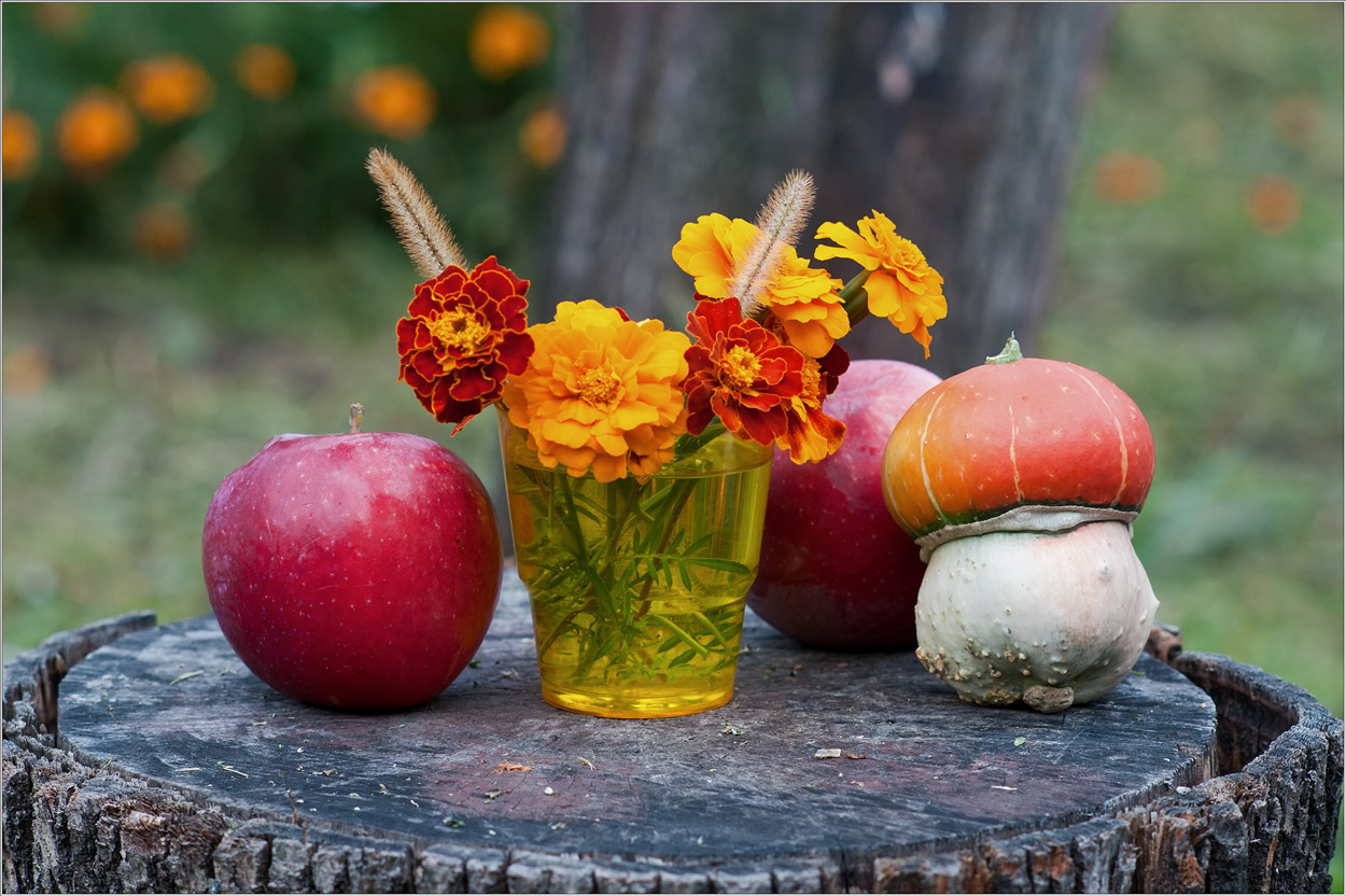 photo "***" tags: nature, still life, flowers