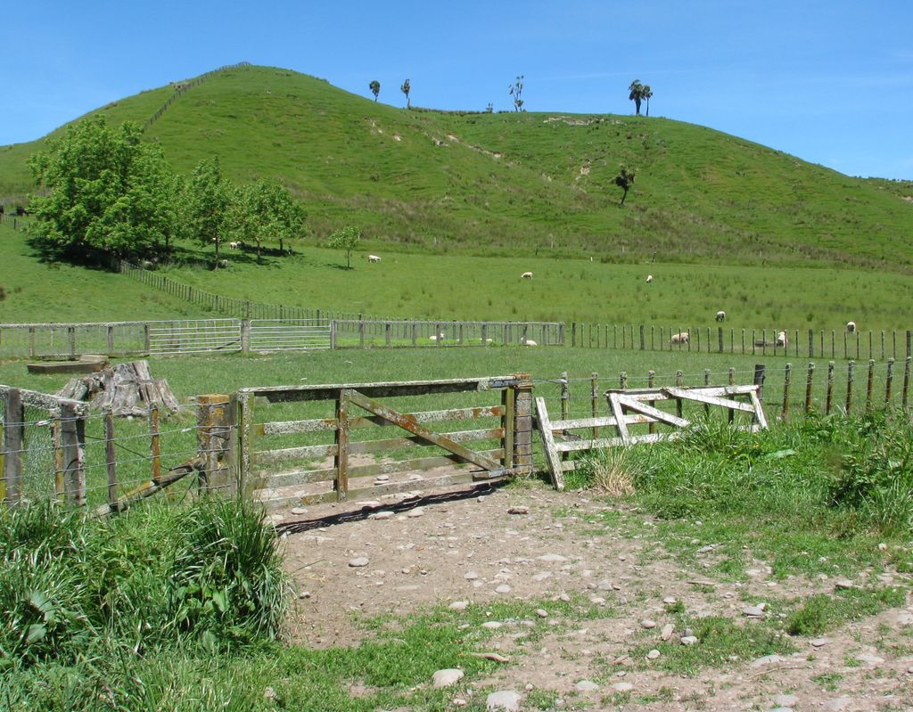 photo "Rural Scene -  New Zealand." tags: landscape, nature, pets/farm animals, summer