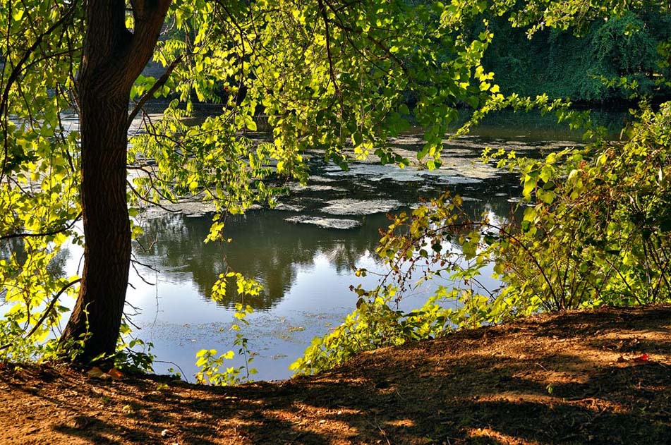 photo "***" tags: landscape, summer