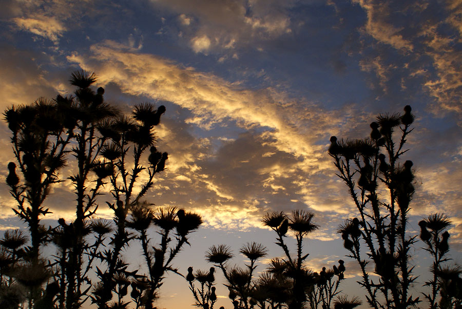 photo "Sunset" tags: landscape, sunset
