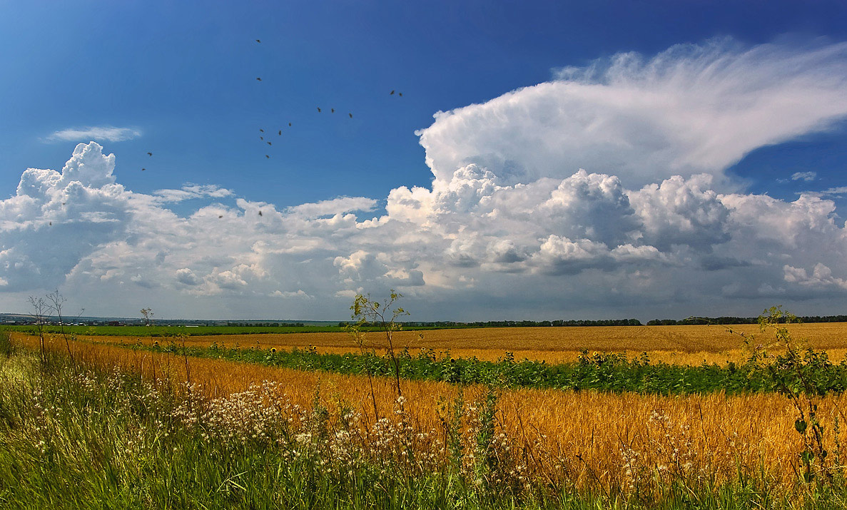 photo "***" tags: landscape, summer