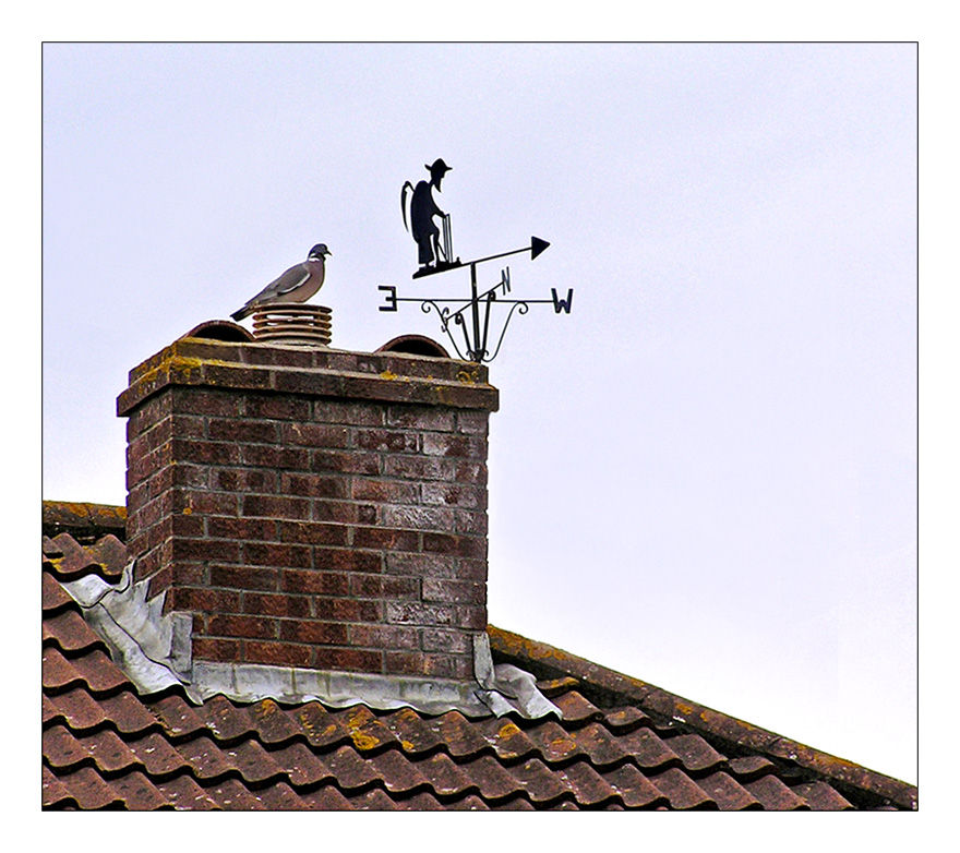 photo "Weather Vane" tags: fragment, misc., 
