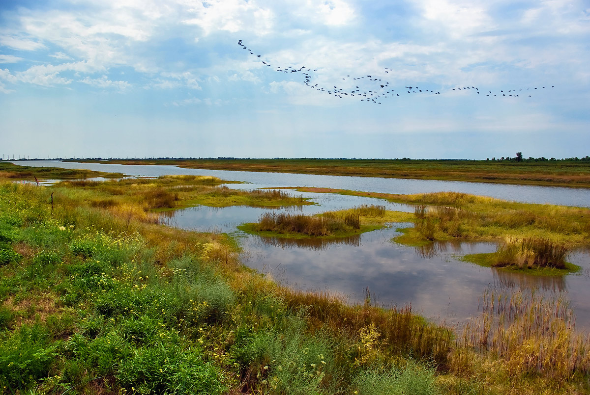 photo "***" tags: landscape, summer