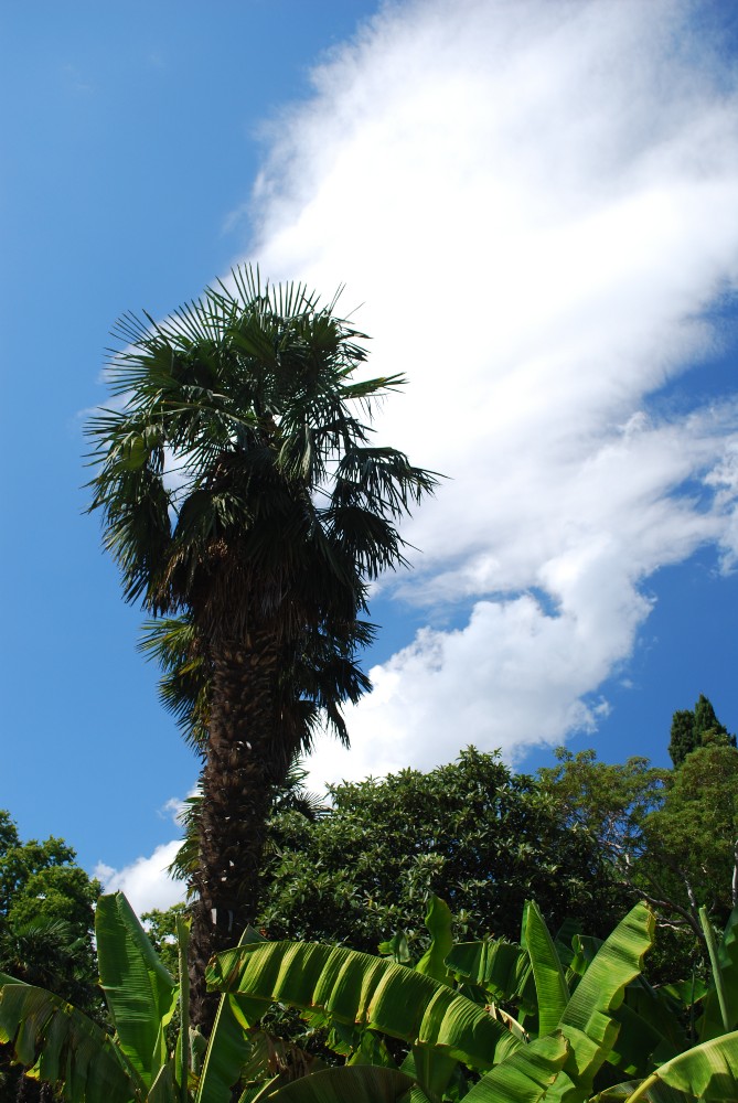 photo "The palm" tags: landscape, travel, Europe, autumn