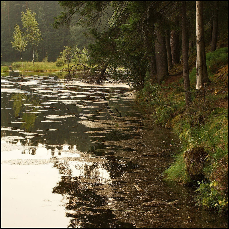 photo "***" tags: landscape, summer, water