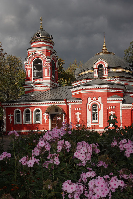 фото "Флоксы" метки: пейзаж, осень