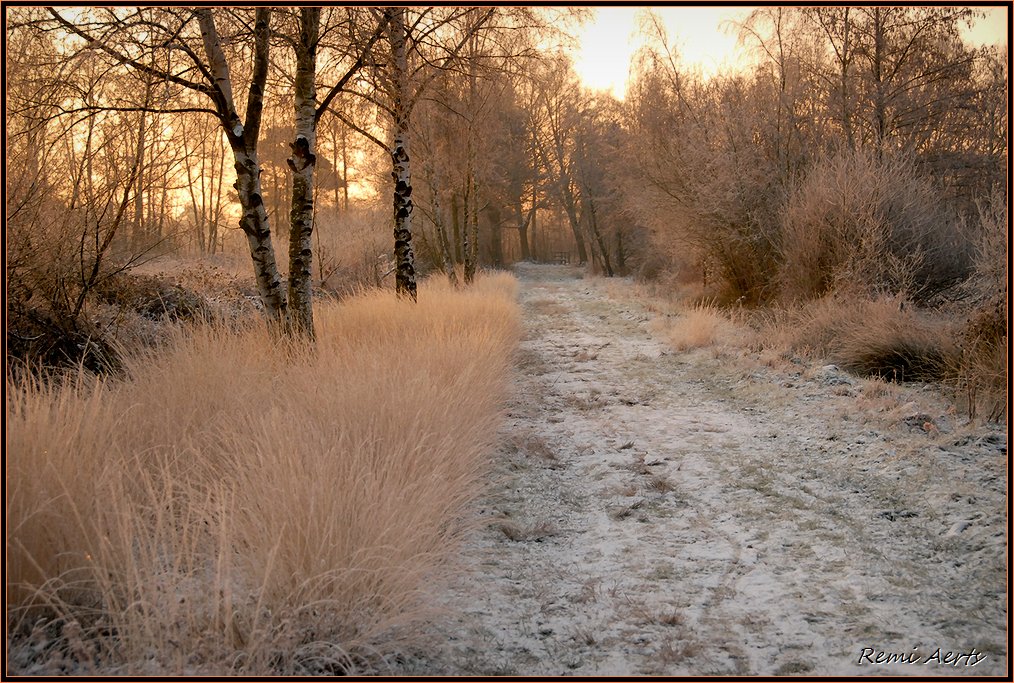 photo "***" tags: landscape, autumn, sunset