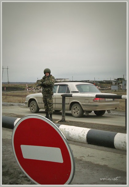 фото "смотрящий..." метки: макро и крупный план, разное, 