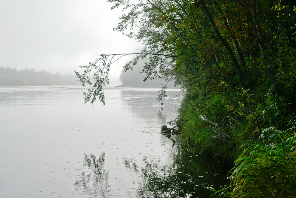фото "Туман..." метки: пейзаж, вода, осень