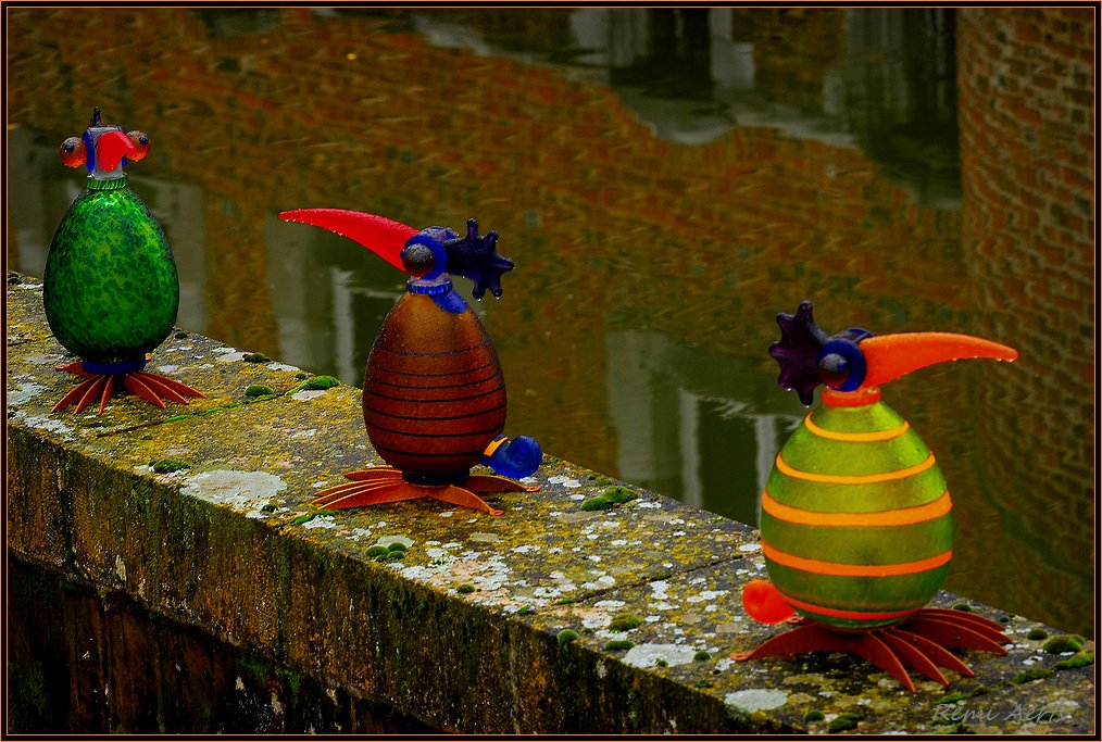 photo "strange birds" tags: landscape, reporting, 