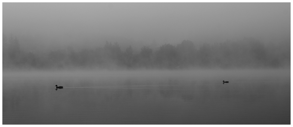 photo "on the way" tags: landscape, black&white, water