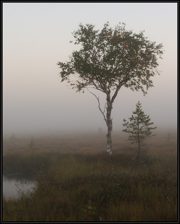 photo "***" tags: landscape, autumn