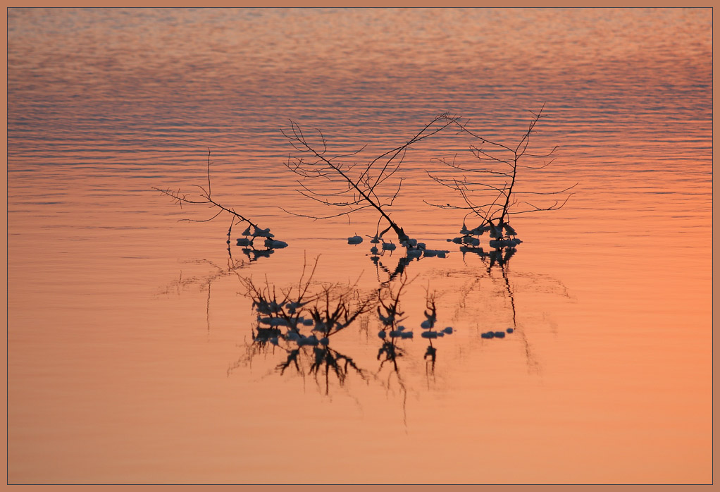 фото "Dawn of the Dead Sea (at the dawn of life)" метки: пейзаж, вода, закат