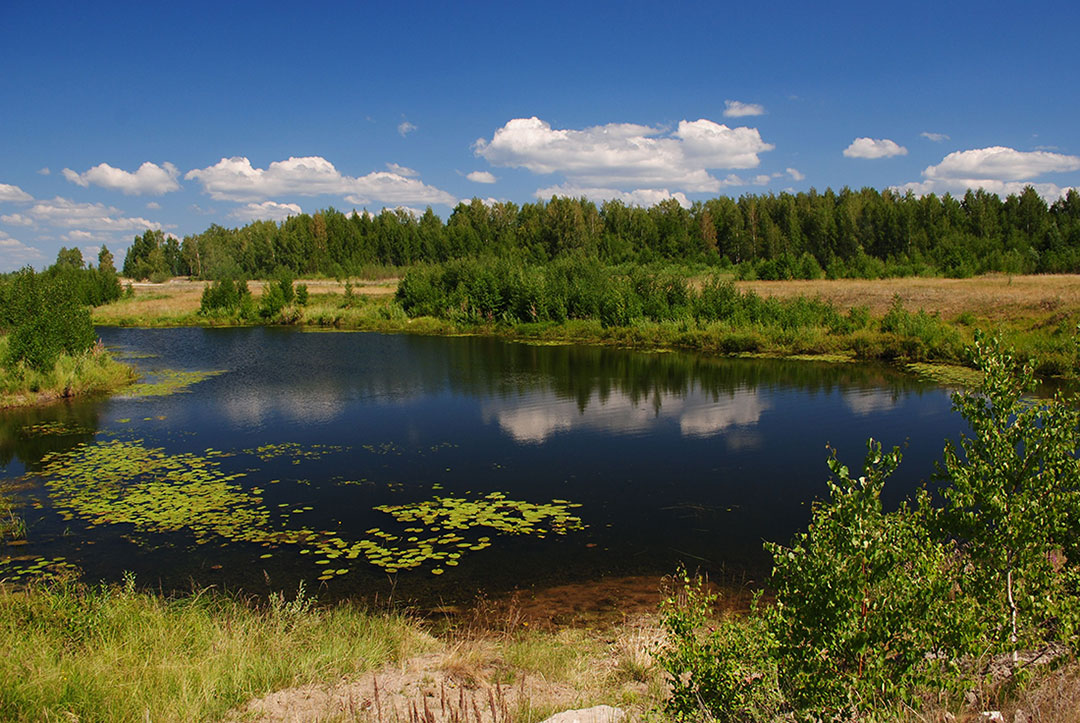 фото "Летний день" метки: пейзаж, вода, лето