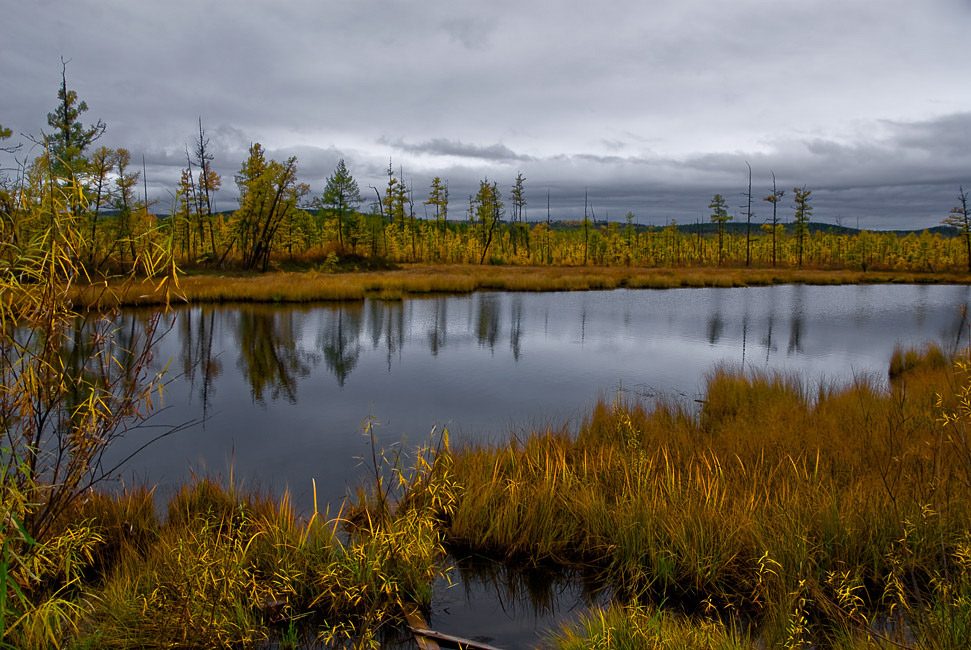 photo "***" tags: landscape, autumn, water