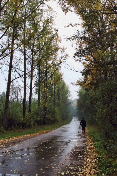 photo "***" tags: landscape, autumn