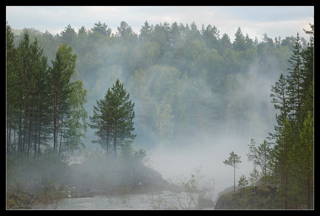 photo "Fog over the river" tags: landscape, forest, summer