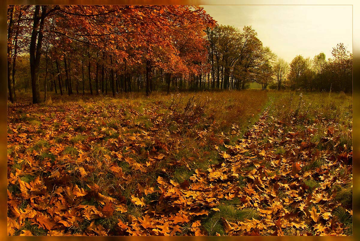 photo "***" tags: landscape, autumn