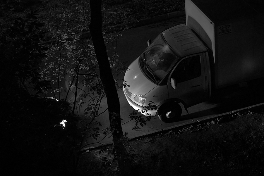photo "Someone's evil eyes glow in the dark ..." tags: misc., 