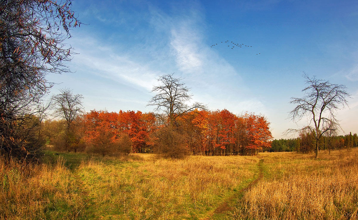 photo "***" tags: landscape, autumn