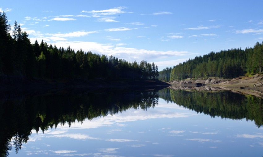 photo "***" tags: landscape, forest, water