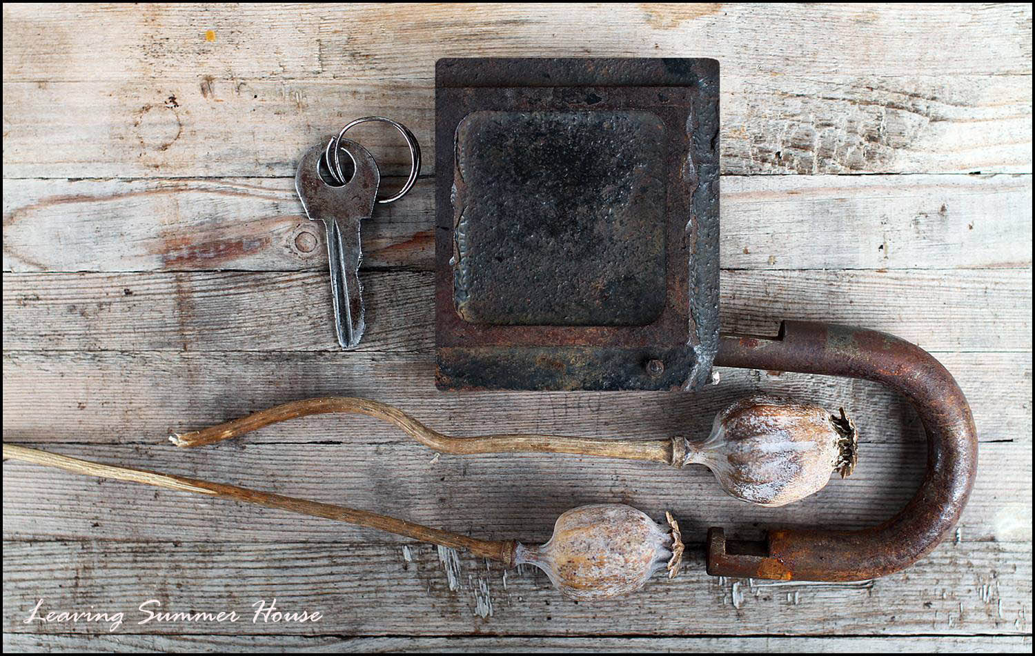 photo "Leaving summer house" tags: still life, macro and close-up, 