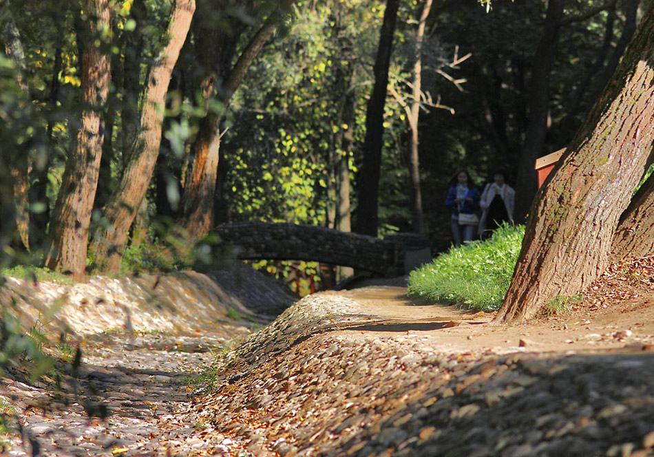 photo "Streambed" tags: landscape, autumn, forest