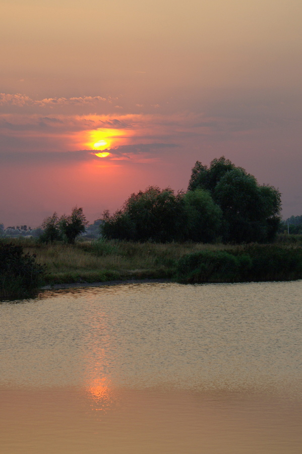 photo "Evening sun" tags: landscape, summer, sunset