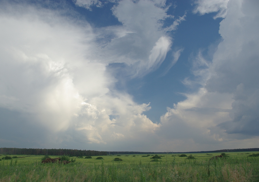 photo "Sky dance" tags: , 