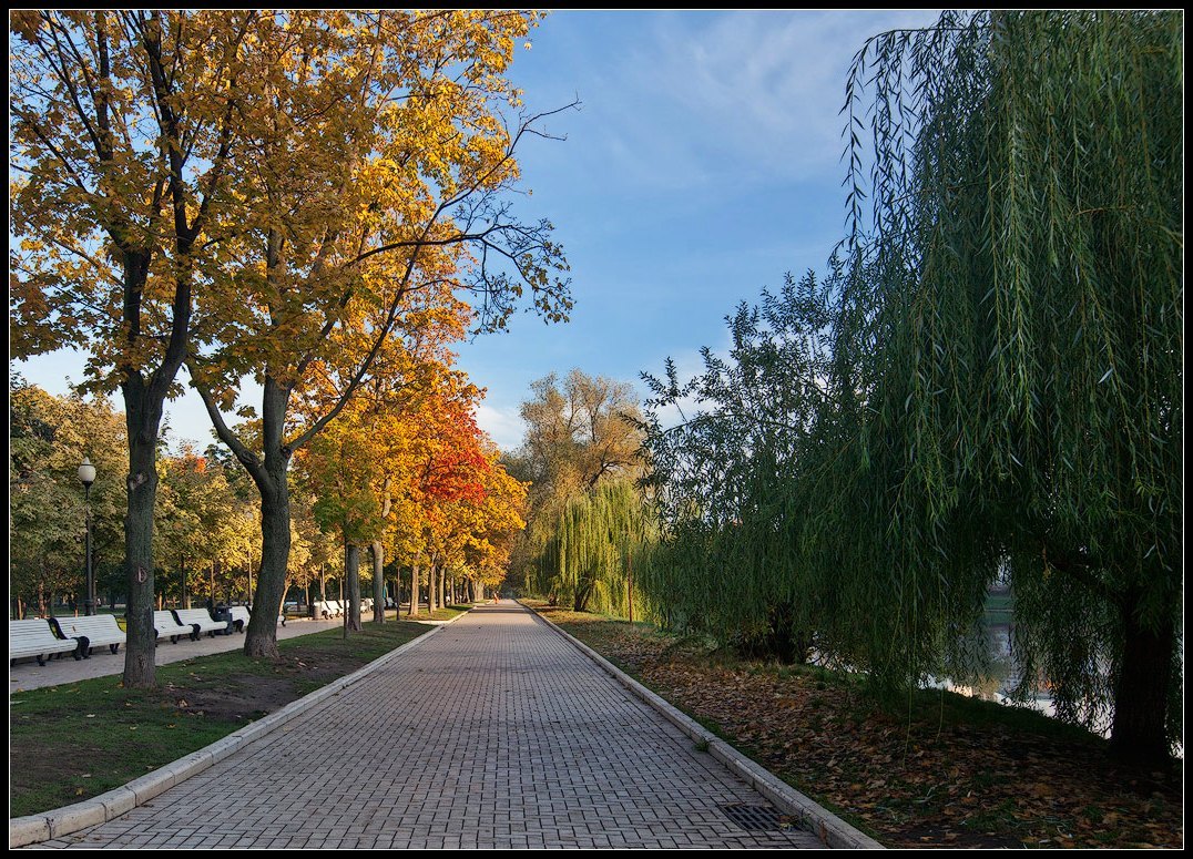 photo "Autumn in the Park" tags: landscape, city, autumn