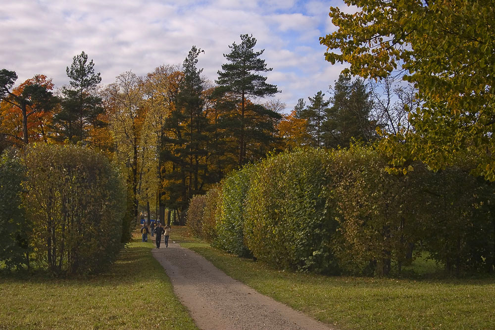 photo "***" tags: landscape, autumn