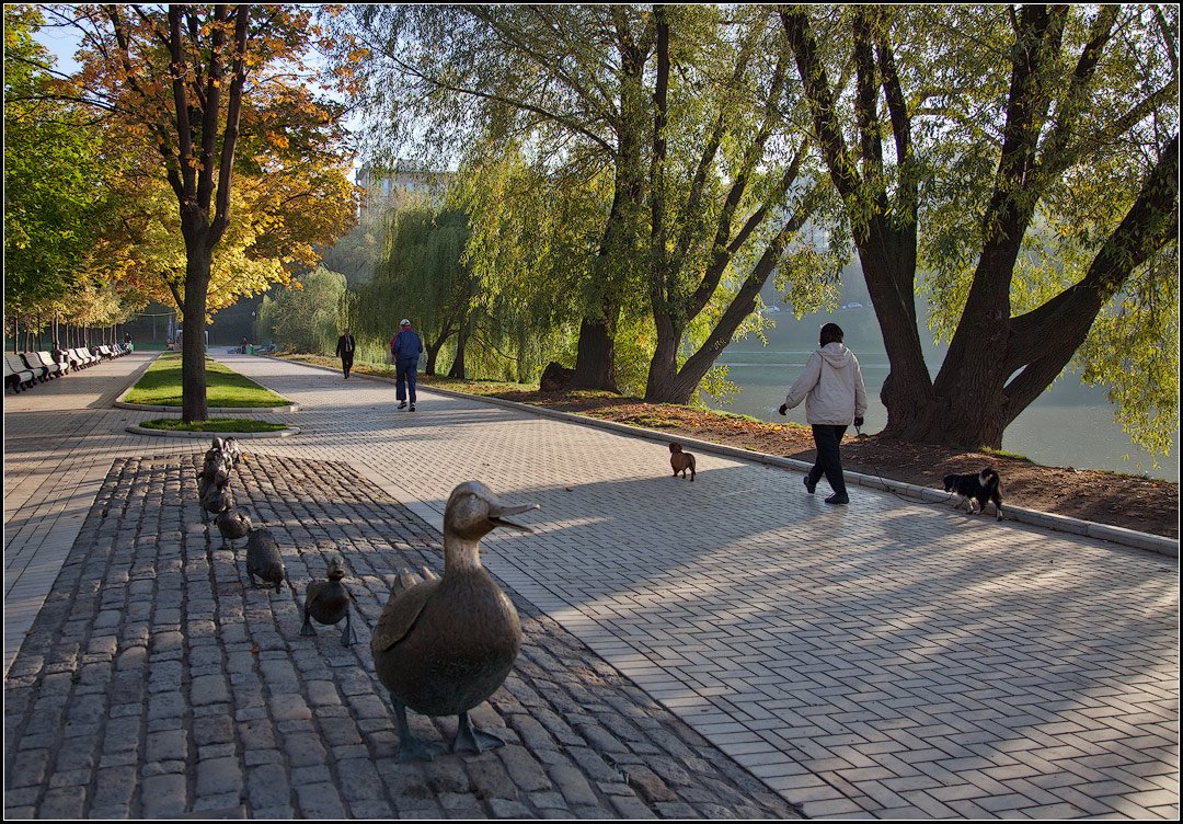 photo "Collision Course))" tags: city, landscape, autumn