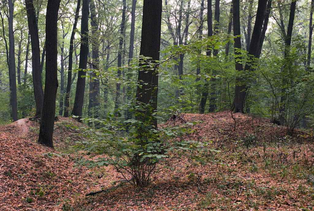 photo "***" tags: landscape, 
