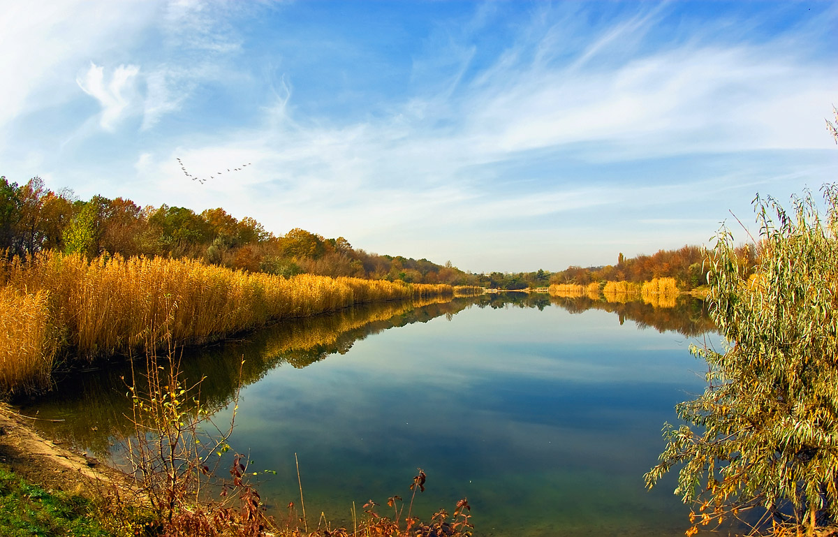 photo "***" tags: landscape, autumn