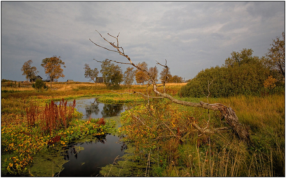 фото "Осенение осени" метки: пейзаж, вода, осень