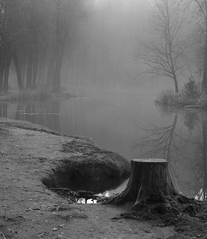 photo "***" tags: black&white, landscape, 