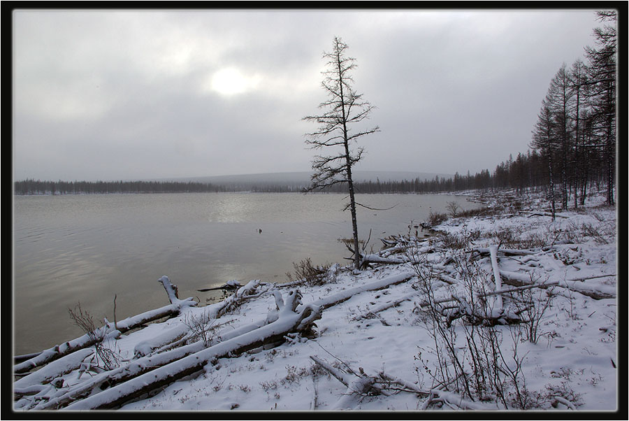 photo "***" tags: landscape, forest, winter