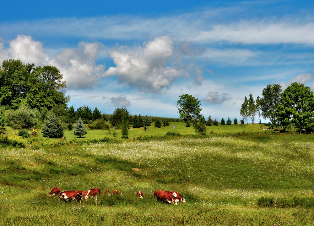 photo "***" tags: landscape, summer