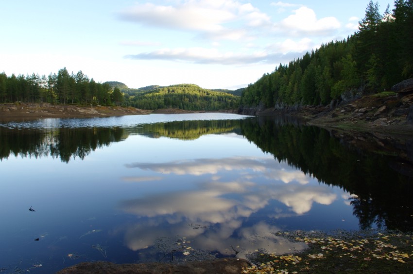 photo "***" tags: landscape, forest, water