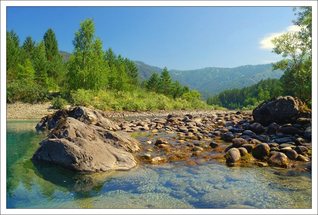 photo "Altay;s rivers" tags: landscape, forest, water