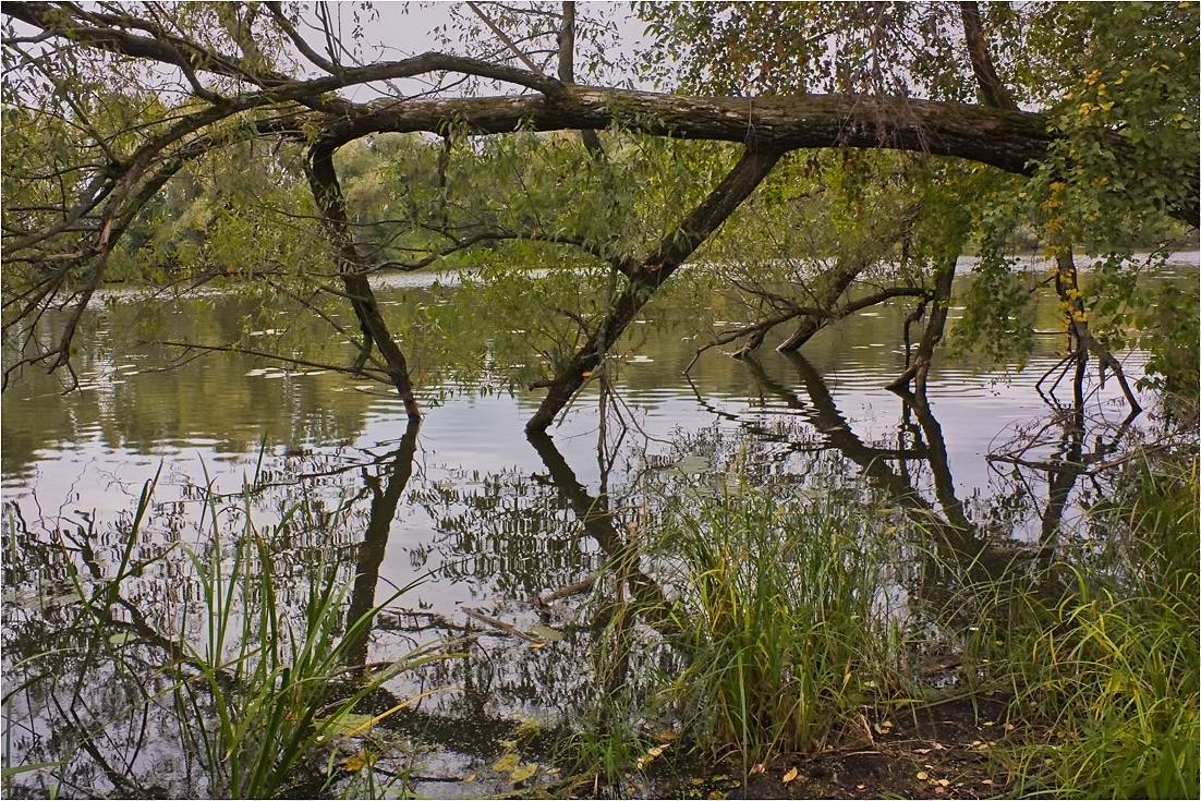 photo "***" tags: landscape, autumn, reflections, river, water