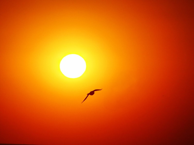 photo "***" tags: landscape, sunset