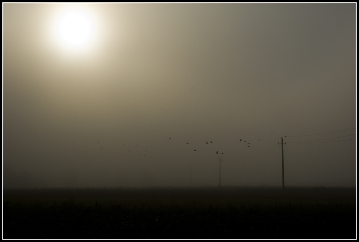 photo "Morning mist" tags: landscape, 
