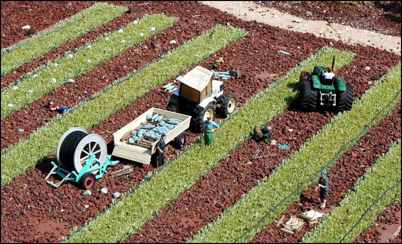 photo "Work in the farm." tags: misc., 